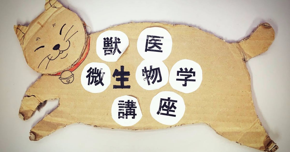 お知らせ/日記 | MiyazakiVetMicro-lab