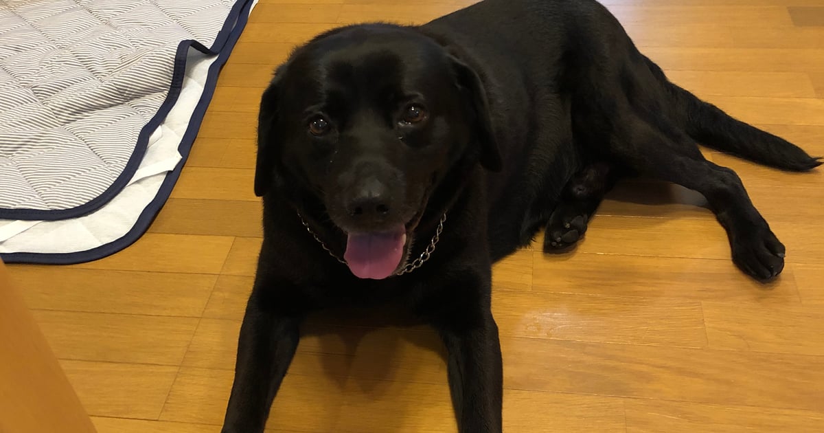 鍵しっぽ本舗】額縁キー・CBXタンクキャップ・キーセット | kagisippohonpo