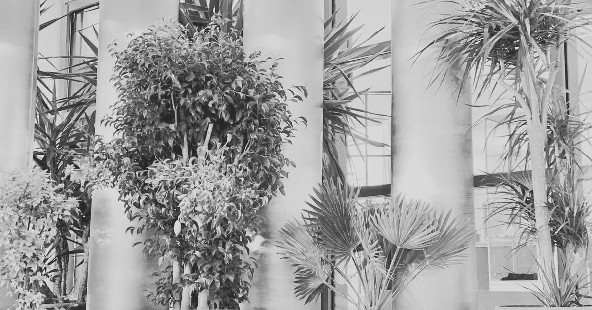 L 7 Bistro | Sebastian Biehler L 7 Bistro | Sebastian Biehler