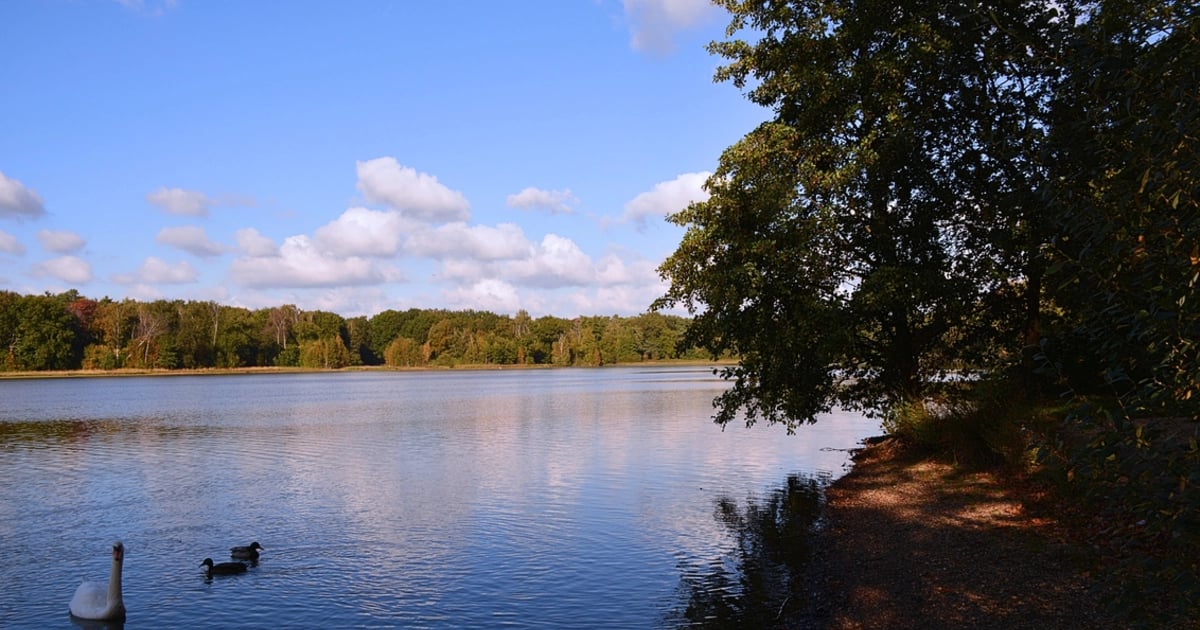 Black Water Trail