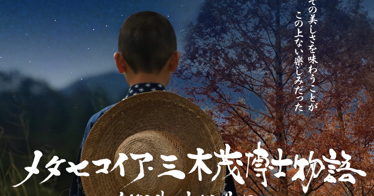 Home | Metasequoia Shigeru Miki story