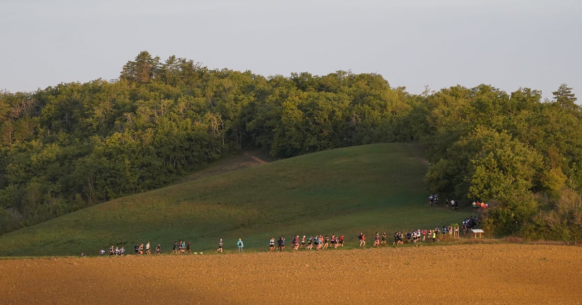 Trail des Mousquetaires