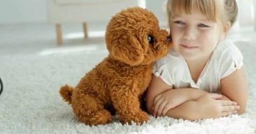 wuffy-robot-puppy-2.jimdosite.com