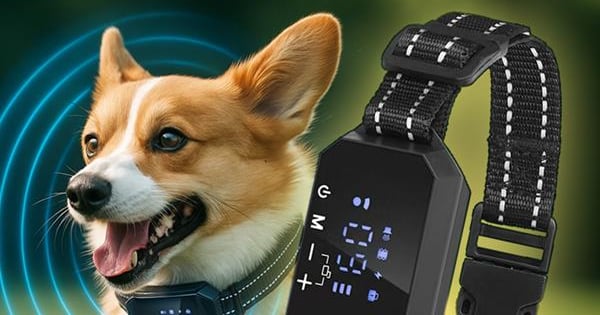 furthrive-gps-1.jimdosite.com