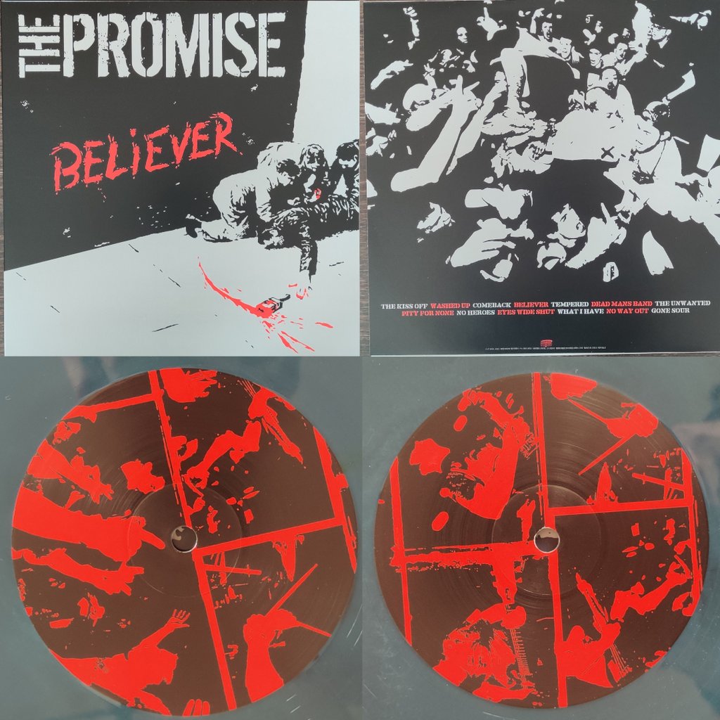 Vinyl Records - My Collection - Banksy Collector's Place