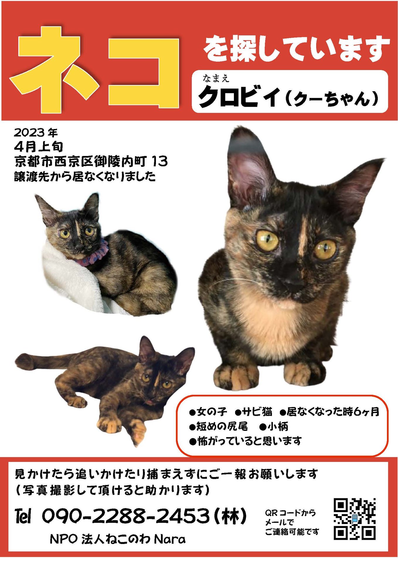 うらねこ様 完成品ご確認ページ☺︎ 里親様募集・おしらせ | nekonowa-NARA