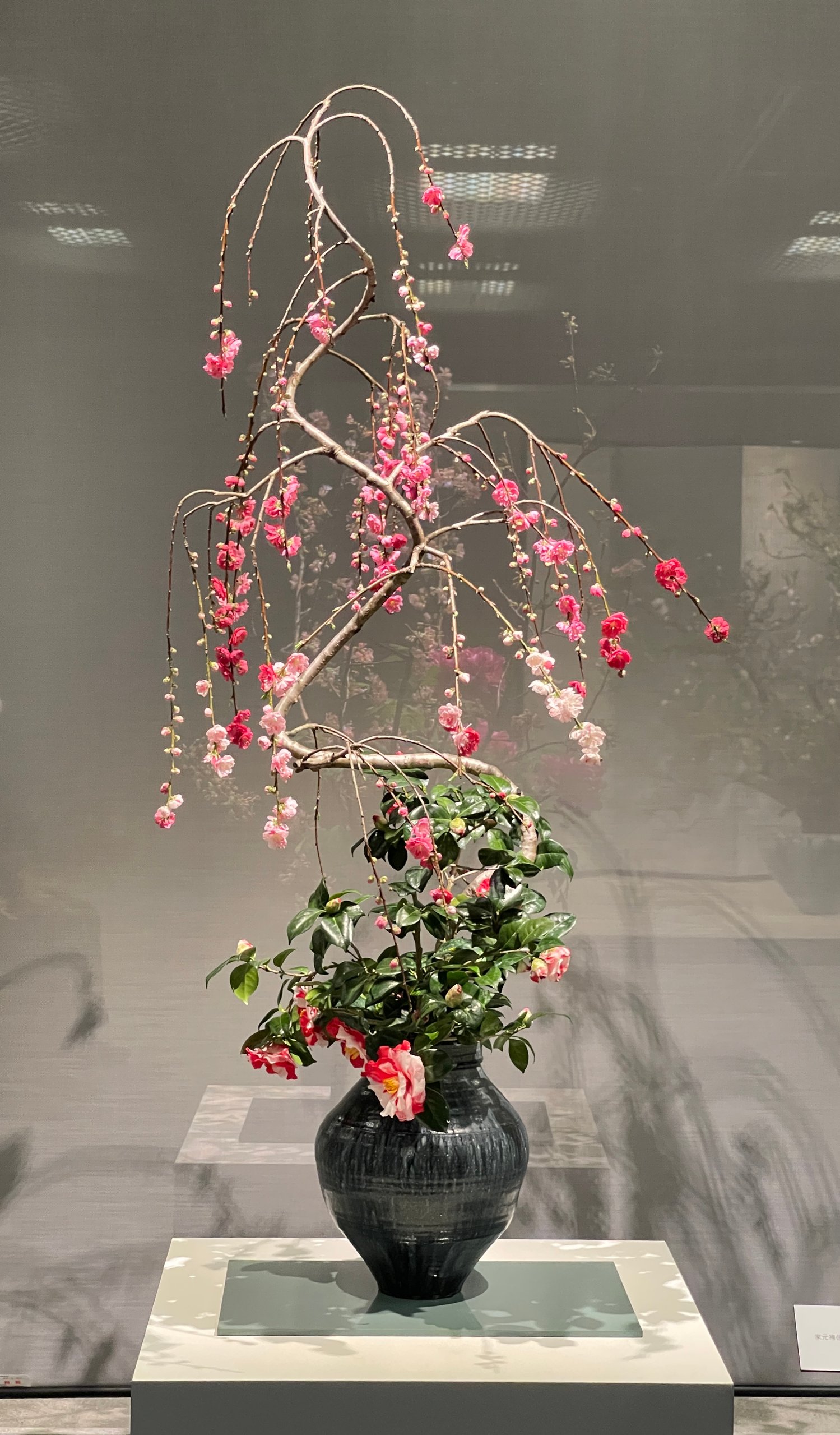🌱 作品写真 1期展 - 花の芸術展 | The Kuwahara Senkei School