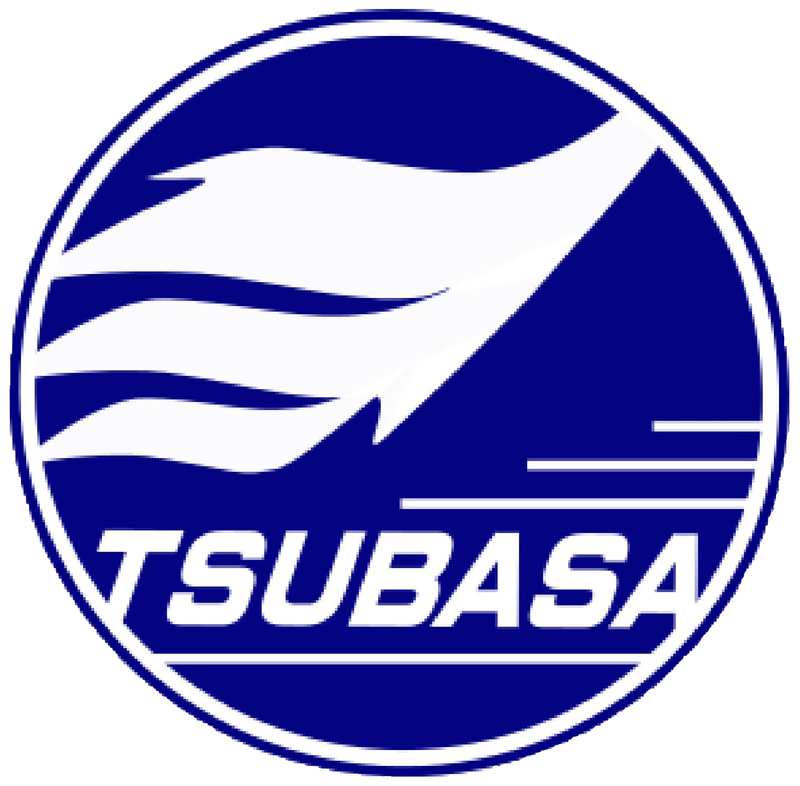 楽天市場】老眼鏡 サングラス 偏光 遠近両用 スポーツサングラス