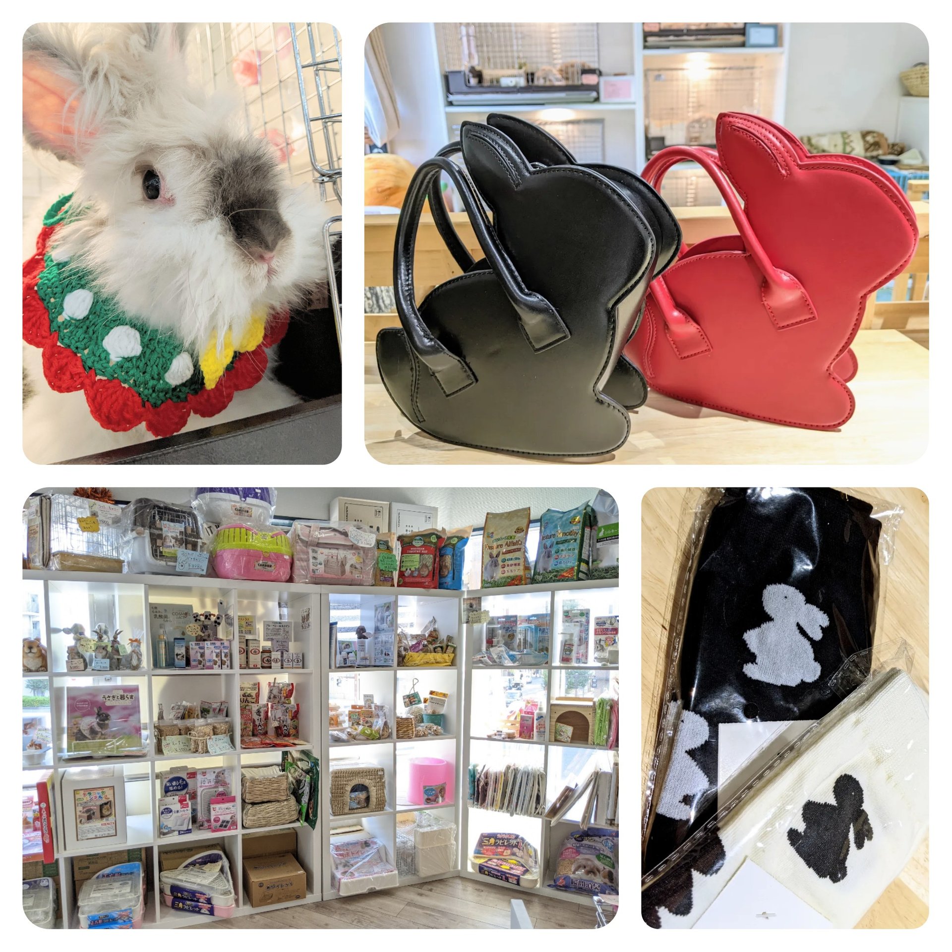 *  　バンビと　たわむれるウサギ  　* バンビとたわむれるウサギ *the red thread S big symbol knit