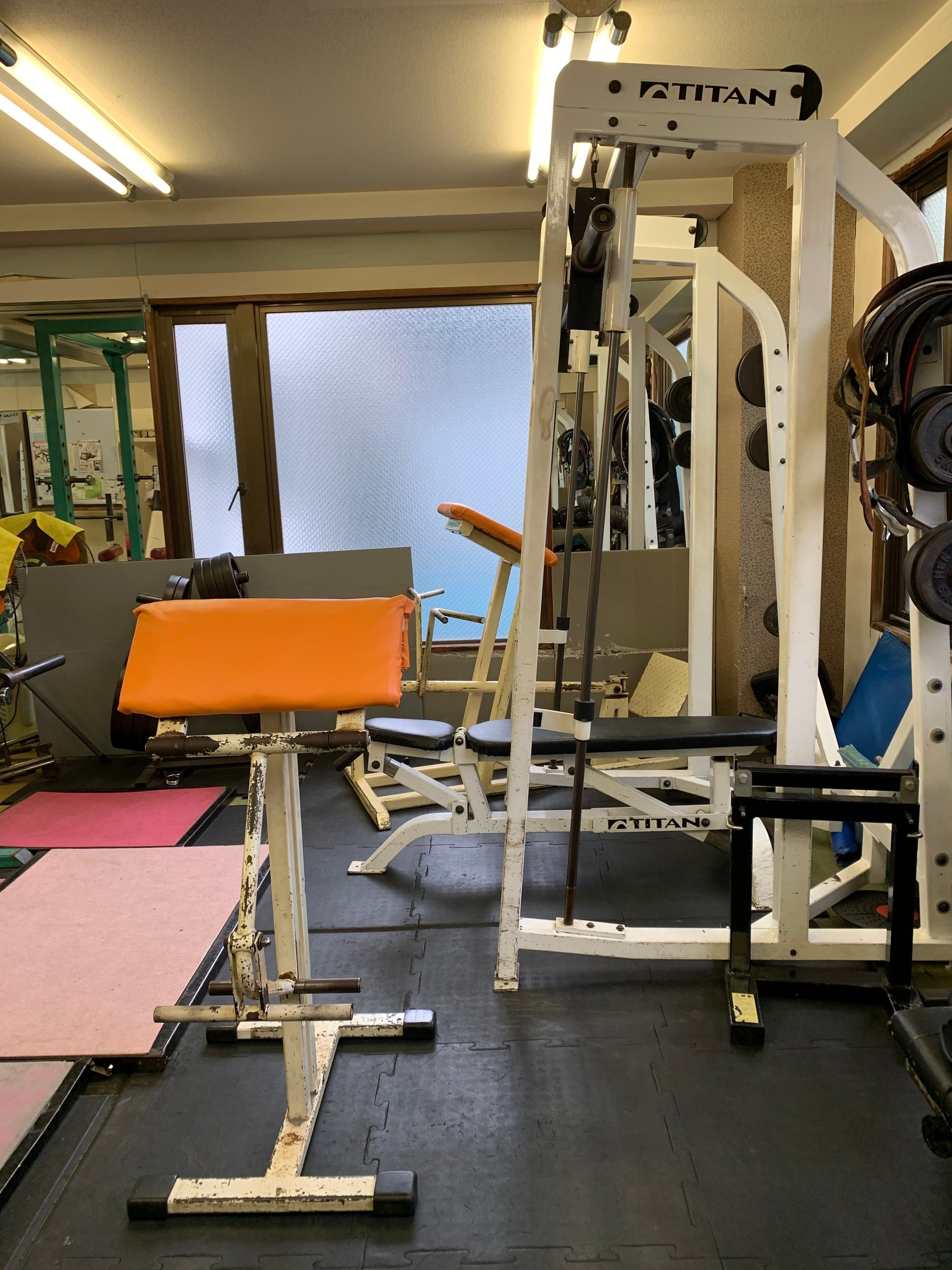 Home | junglegymsports