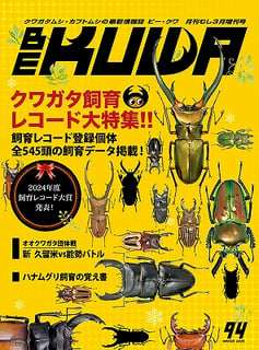 Daisuke Hirai ① クワガタ　カブト　ブリード　大量セット Daisuke Hirai 様専用① クワガタ カブト ブリード 大量セット