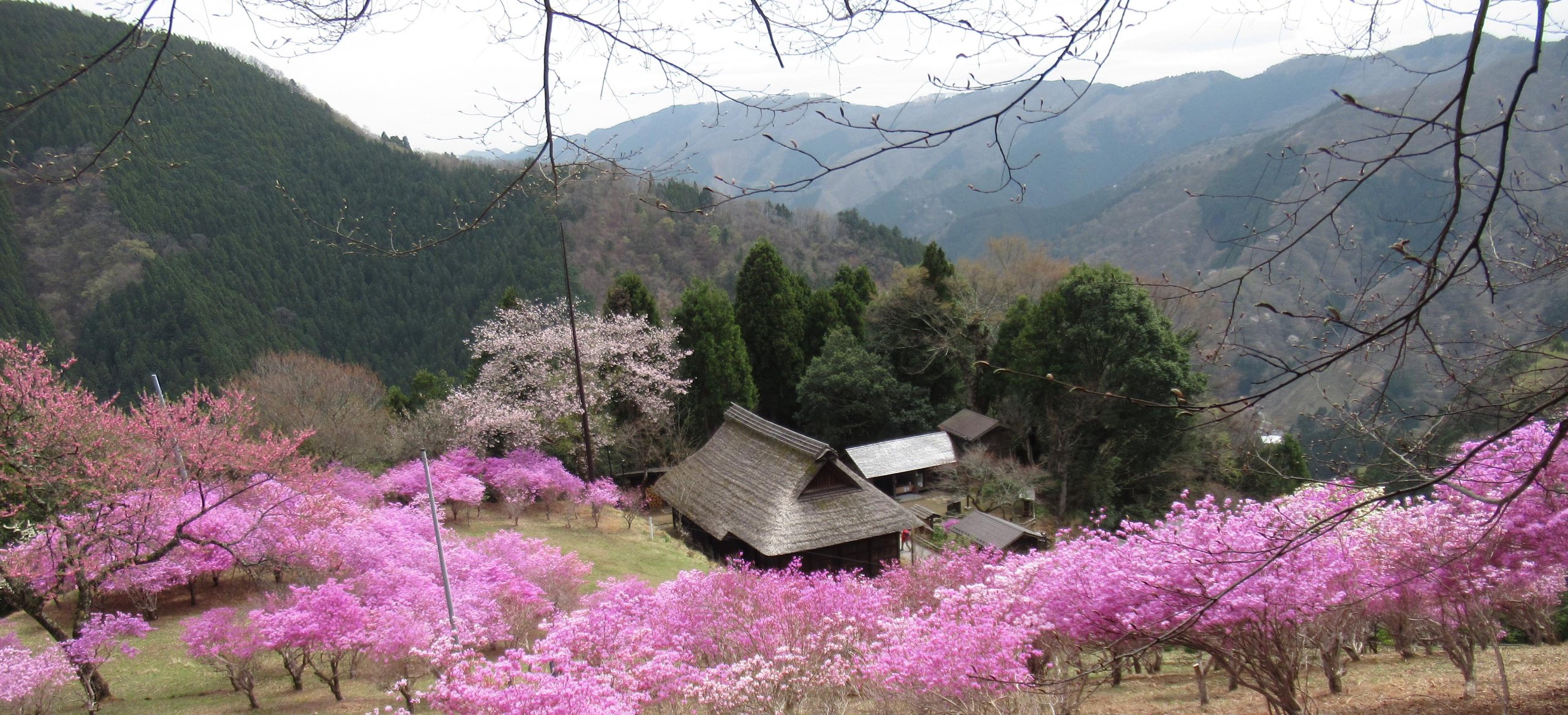 ジオツアー | Akigawa Valley Geo