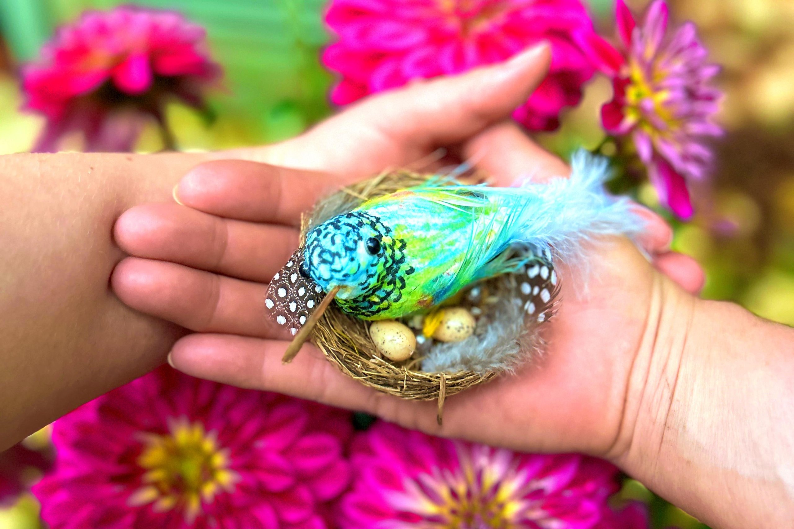 Kindernest Kolibri Kindernest Kolibri