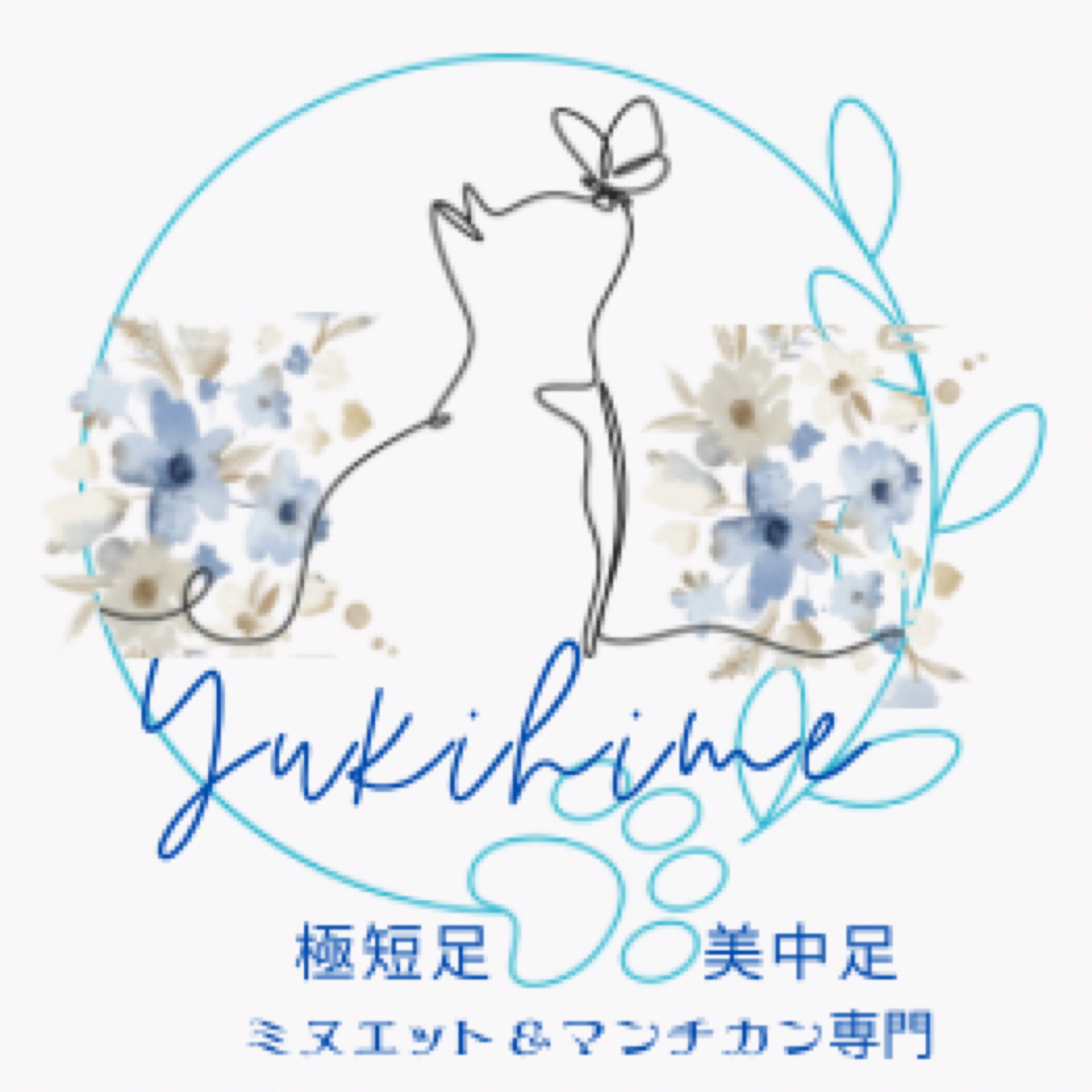 ミヌエットはどんな猫 | 極短足・美足・希少毛色・ブルーアイのマンチカン＆ミヌエット専門Yukihime, image size:2560x2560