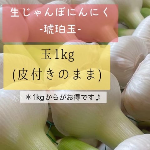 生じゃんぼにんにく | DOLCE'S 公式通販