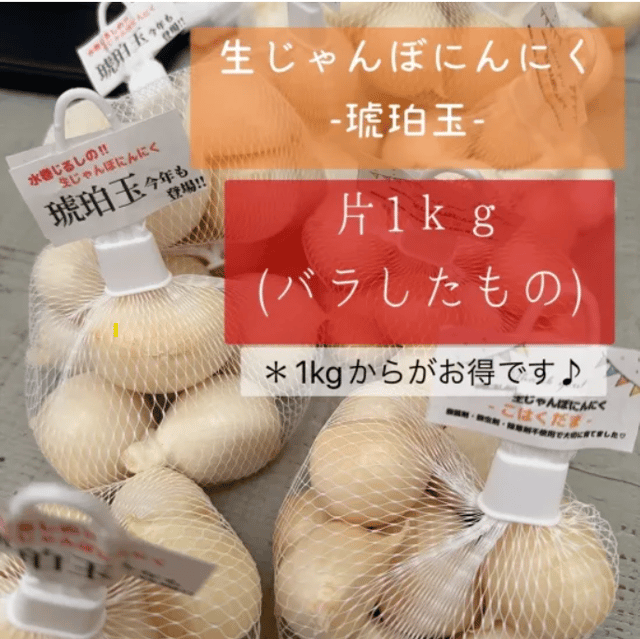 ジャンボニンニク箱こみ大中玉12キロ ジャンボにんにくの通販｜にんにく｜食べチョク｜産地直送(産直