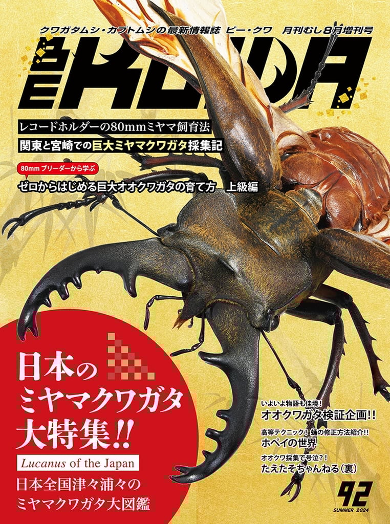 くわがたマガジン 28冊 kuwamaga.JPG