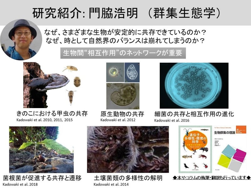 研究紹介 | Kohmei Kadowaki