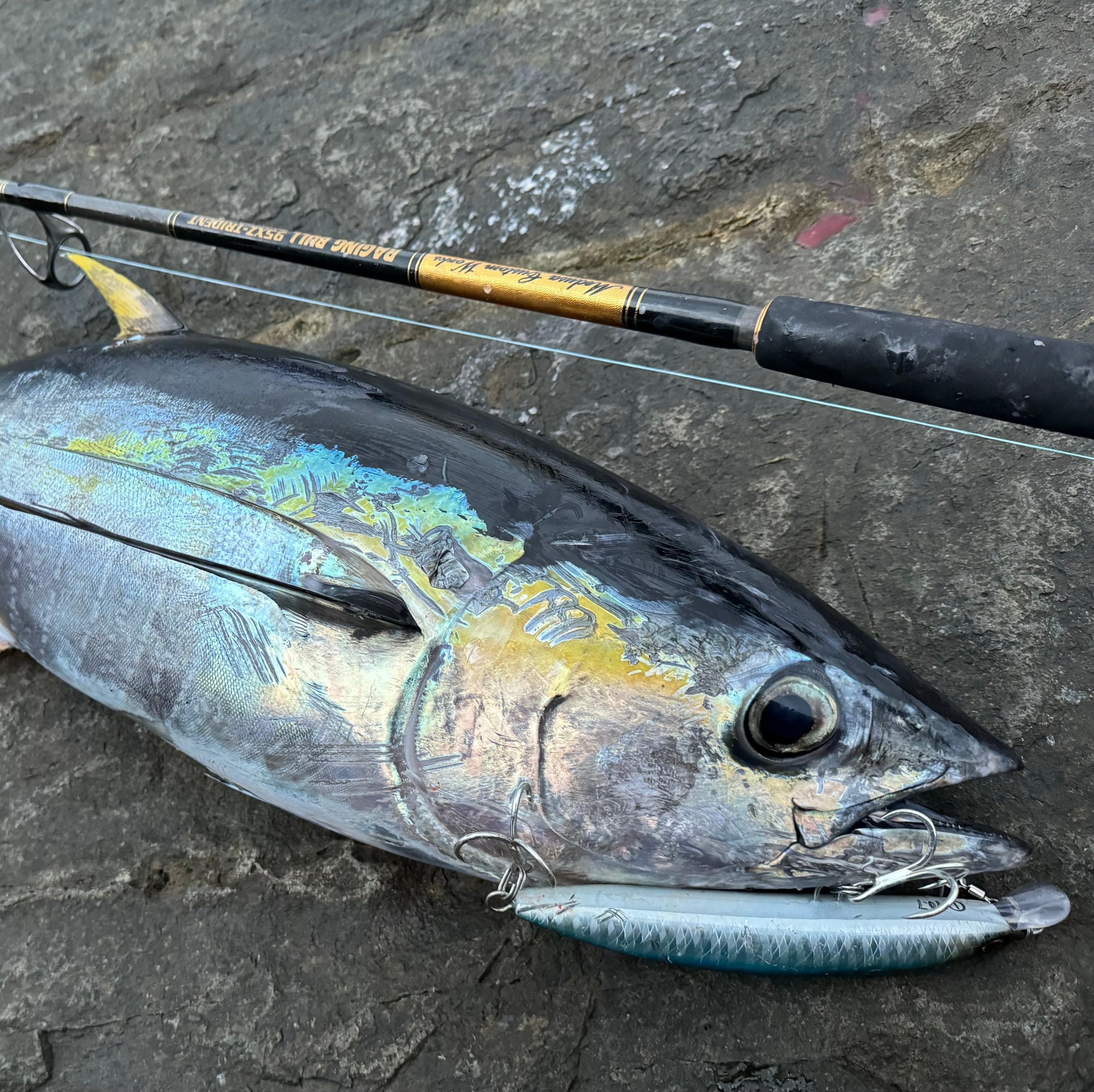 楽天市場】RESPECT190F グッドベイト 魚じゃらし工房 リスペクト