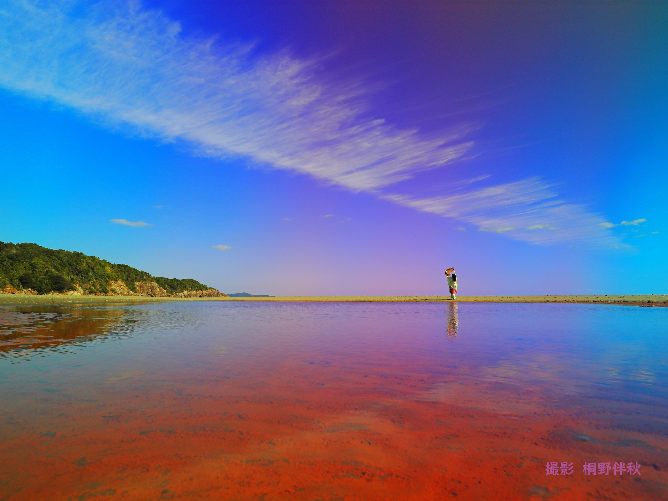 【グランドルフィン】ソウルサウンドライアー　ヒーリングライアー ソウルサウンドライアーで導く、魂の目覚め！ - 【公式】小林明
