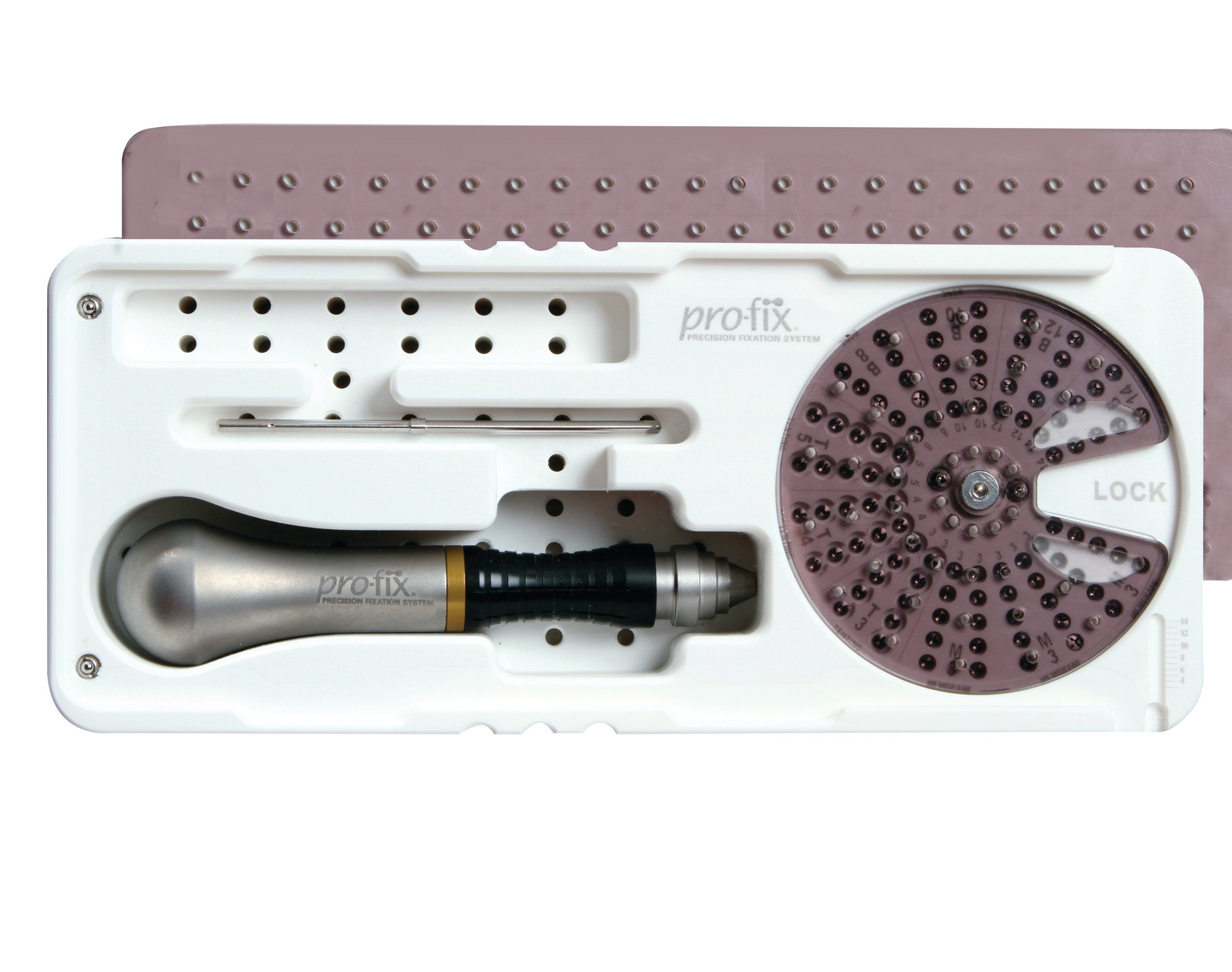 プロフェッショナルデンティストリー STEP 2 Basic Treatment