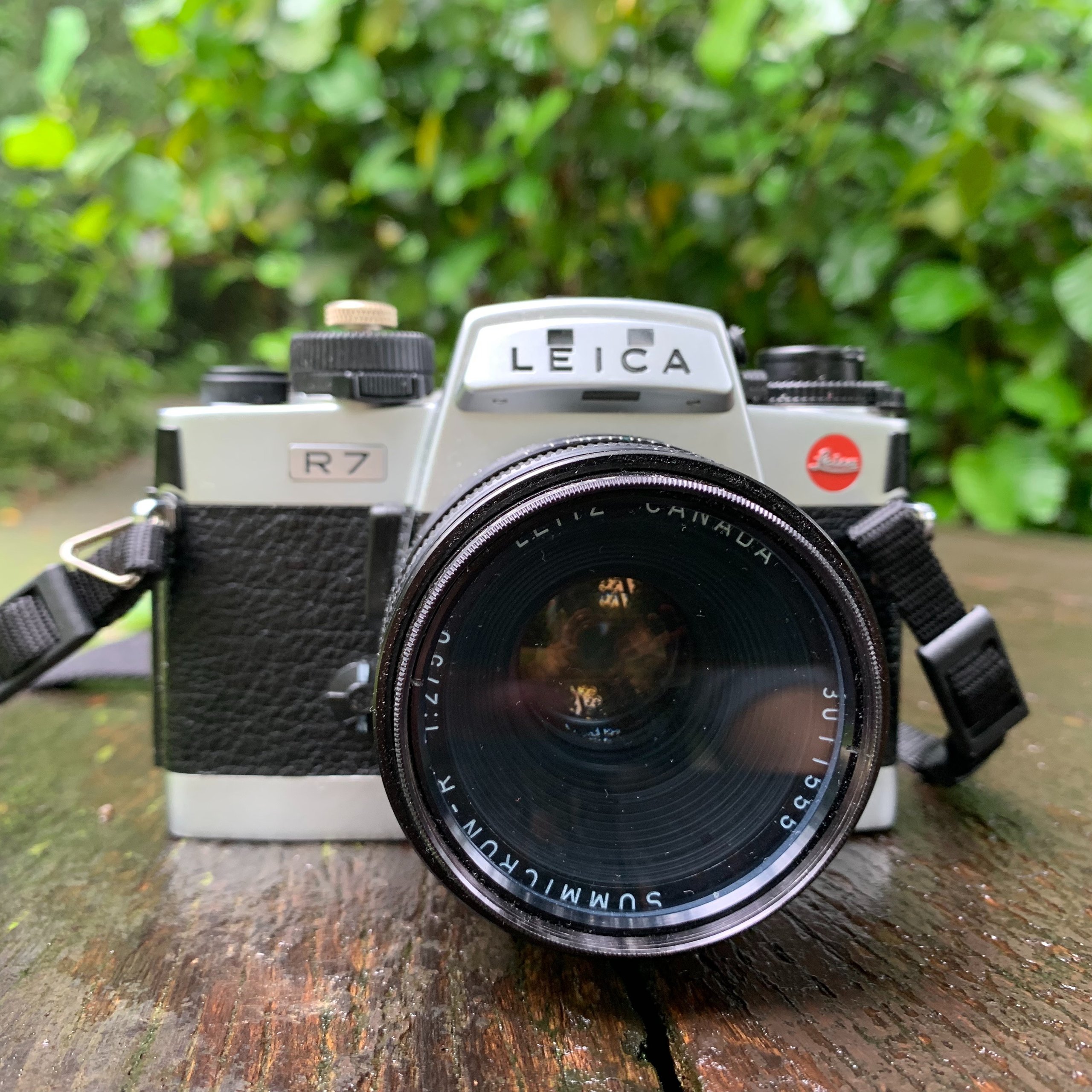 完動品 整備品 Leica R7 シルバー 一眼レフ フィルムカメラ 完動品 整備品 Leica R7 シルバー 一眼レフ フィルムカメラ