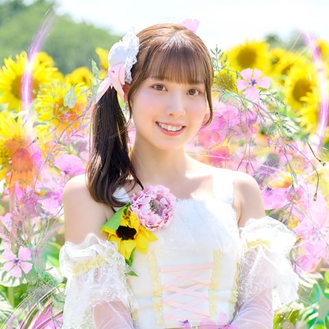 向日葵1 0326142611_67e38ff341498.png