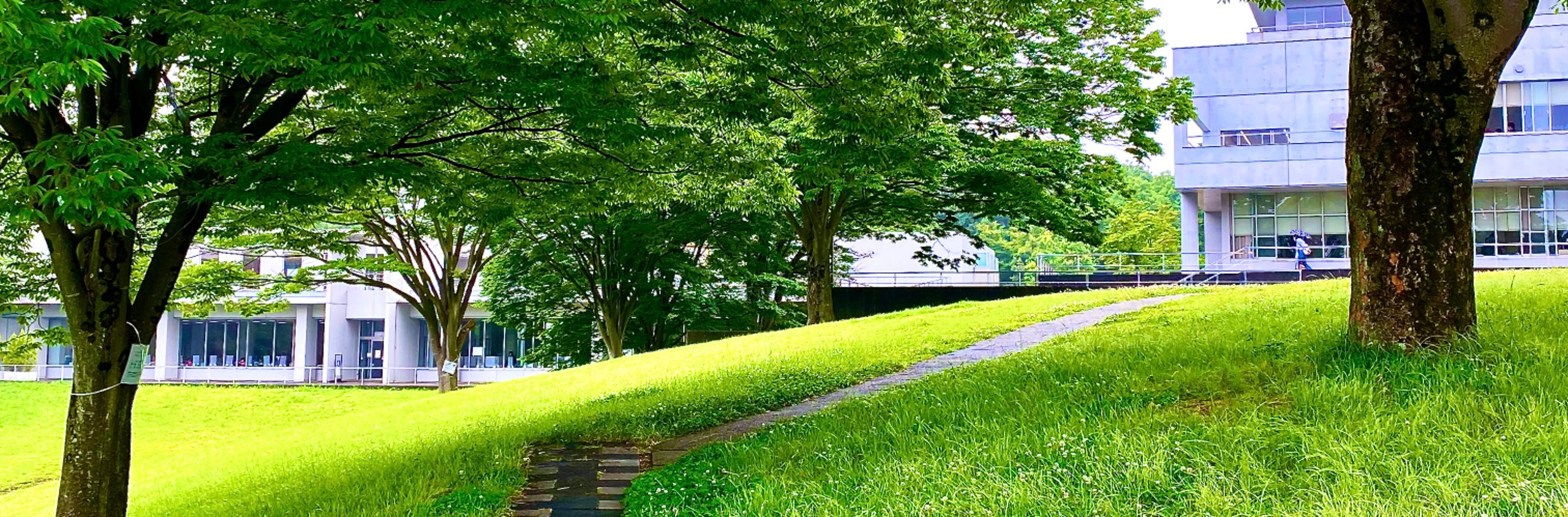 Home | 加茂具樹研究室_慶應義塾大学総合政策学部