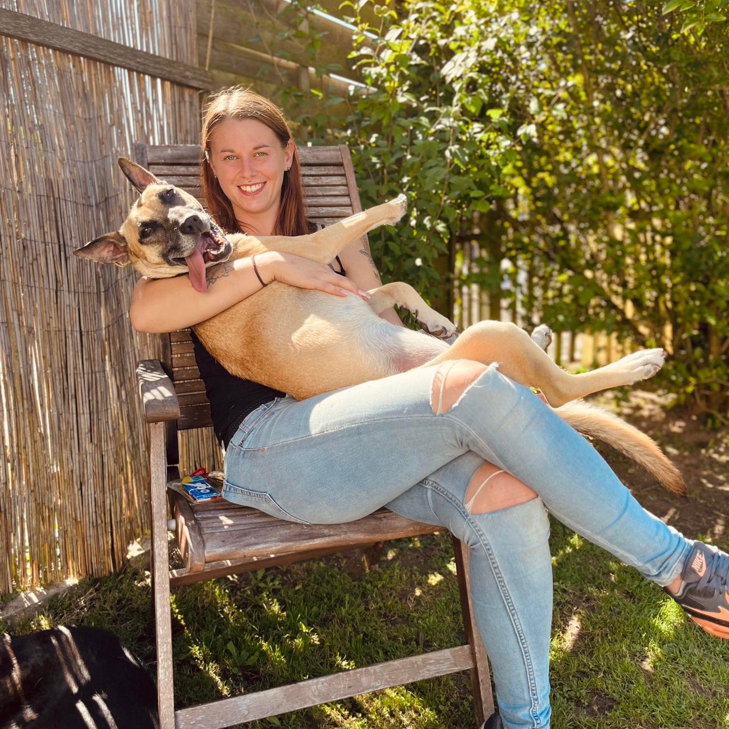 Fundraiser by Sandra Reiterer : LILO kämpft um ihr Leben - und braucht  dabei eure Hilfe, image size:1440x1440