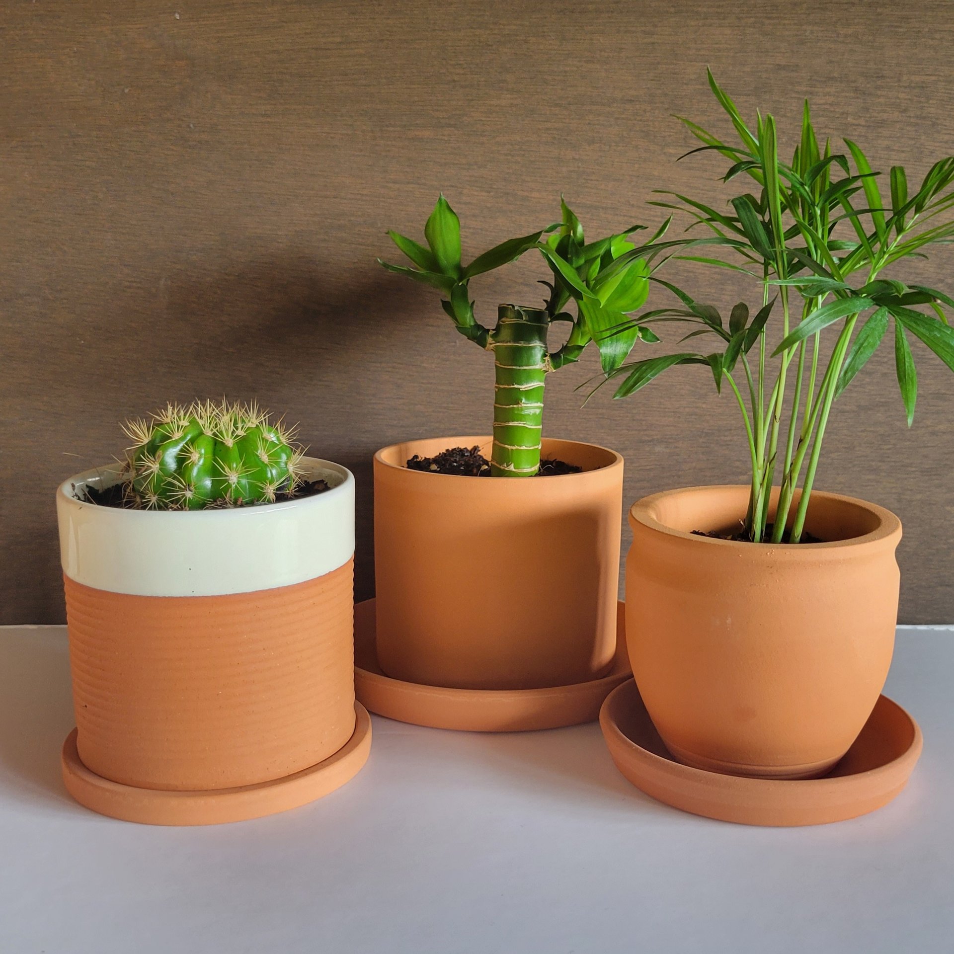 中央製陶有限会社 テラコッタの製造販売メーカー | テラコッタの食器や