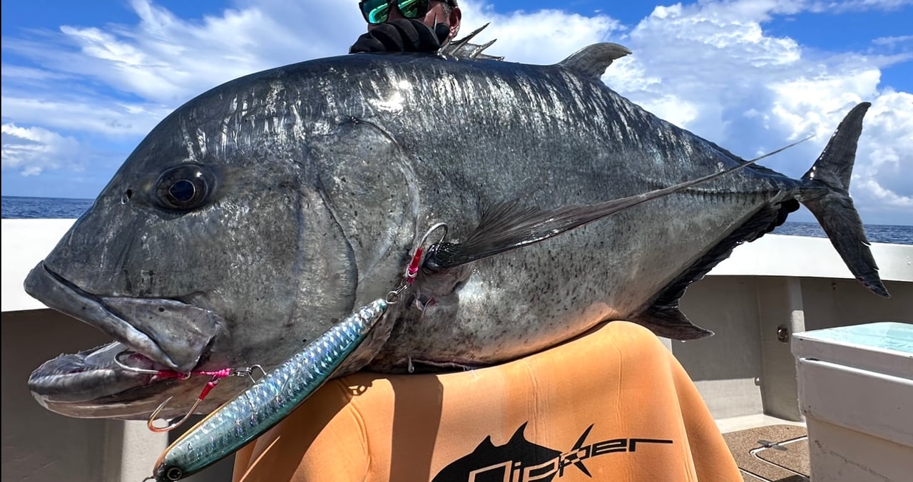 GOOD BAIT MONSTERZONE210F | 全ての商品 | FEED WEB SHOP