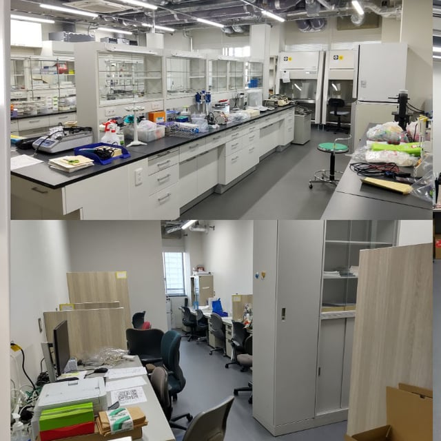 Home | TUS-yakugaku-noguchi-lab