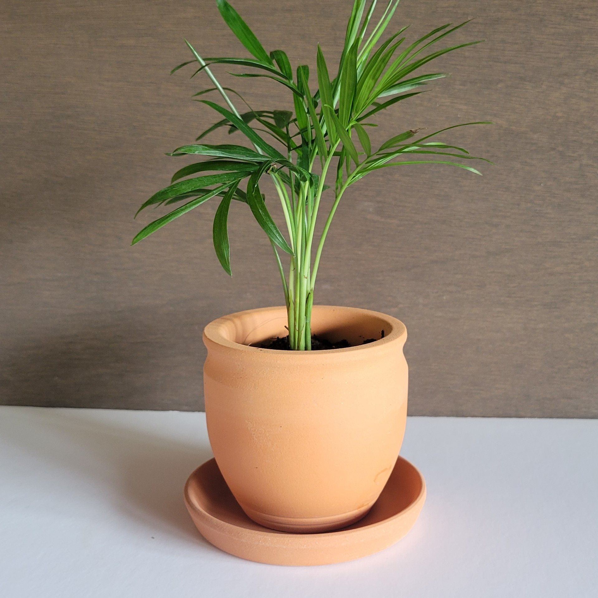 RSPGMKIX セメント 多肉植物 植木鉢 木の切り株 植木鉢(A