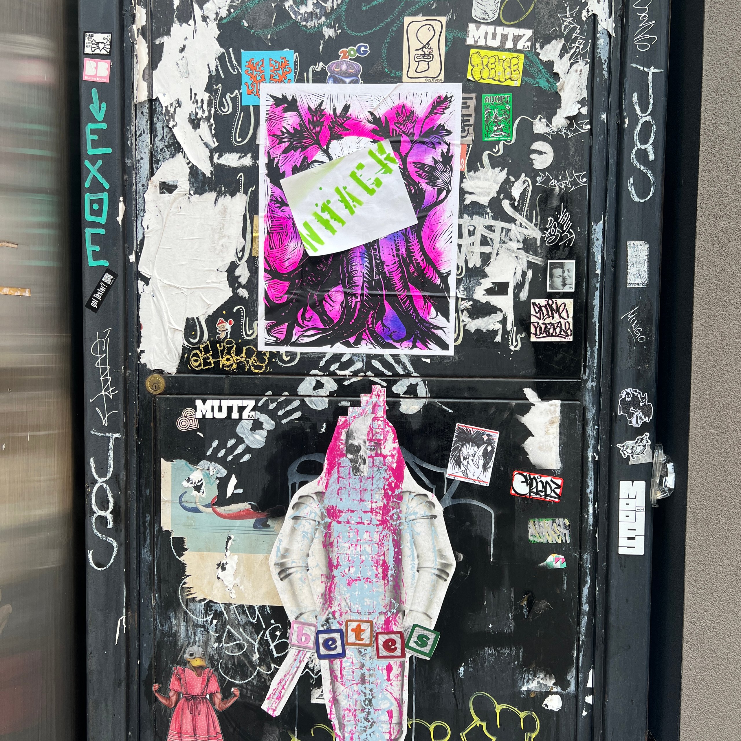 Home | JCAT NY