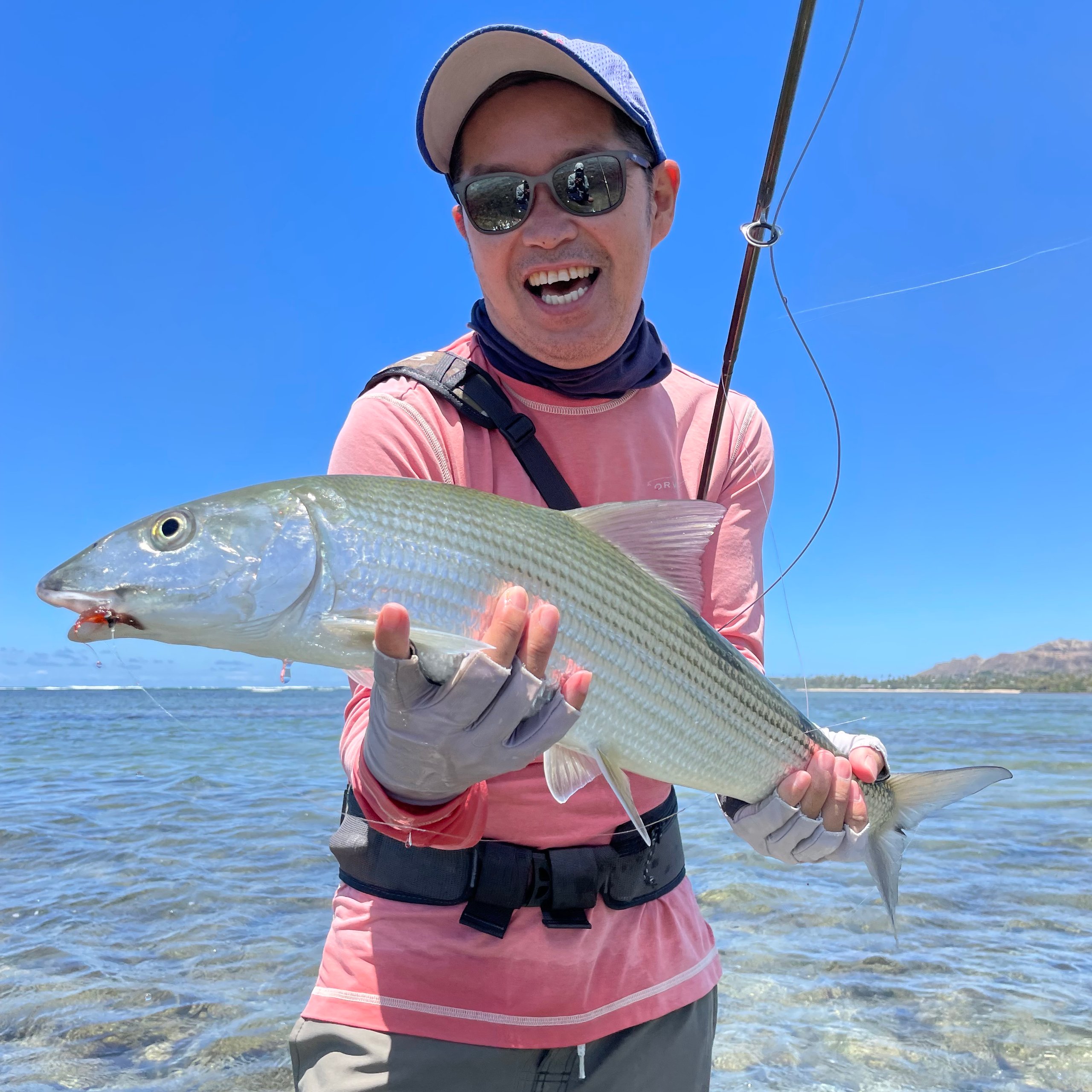 Home | Bonefish adventure Home | Bonefish adventure