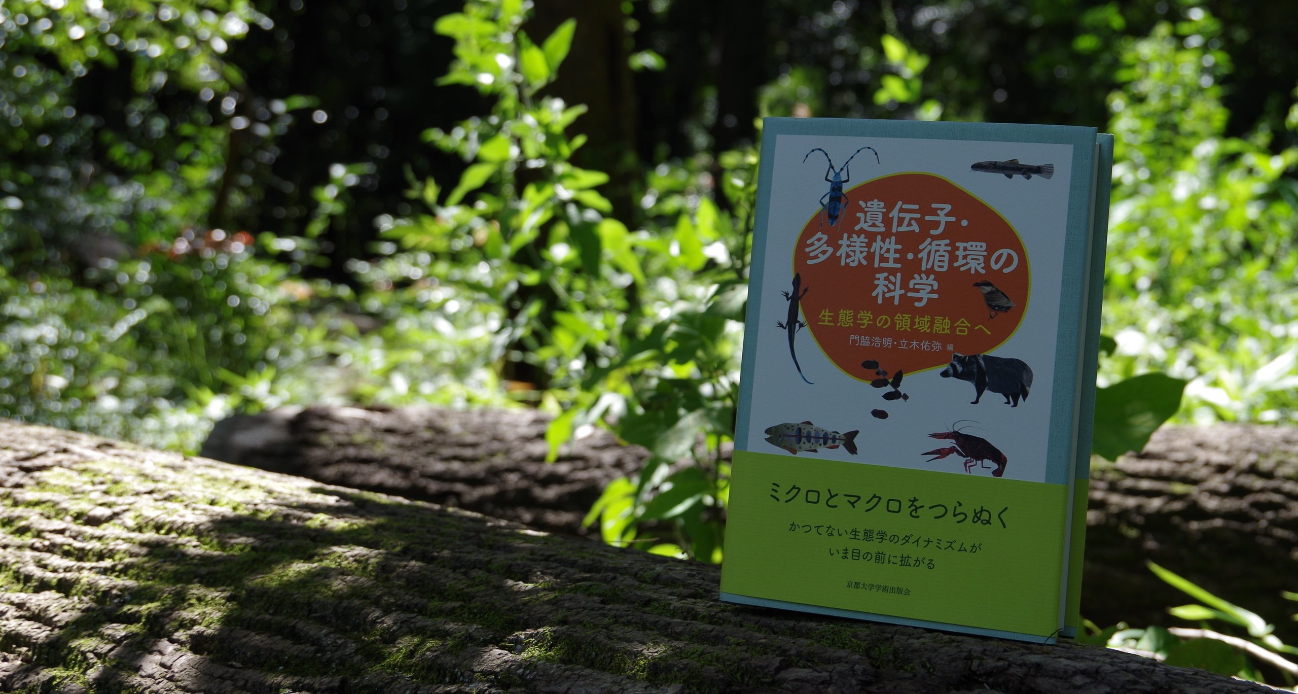 光と水と植物のかたち