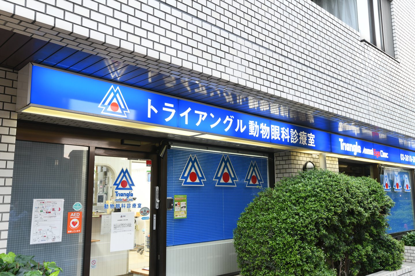 トライアングル動物眼科診療室