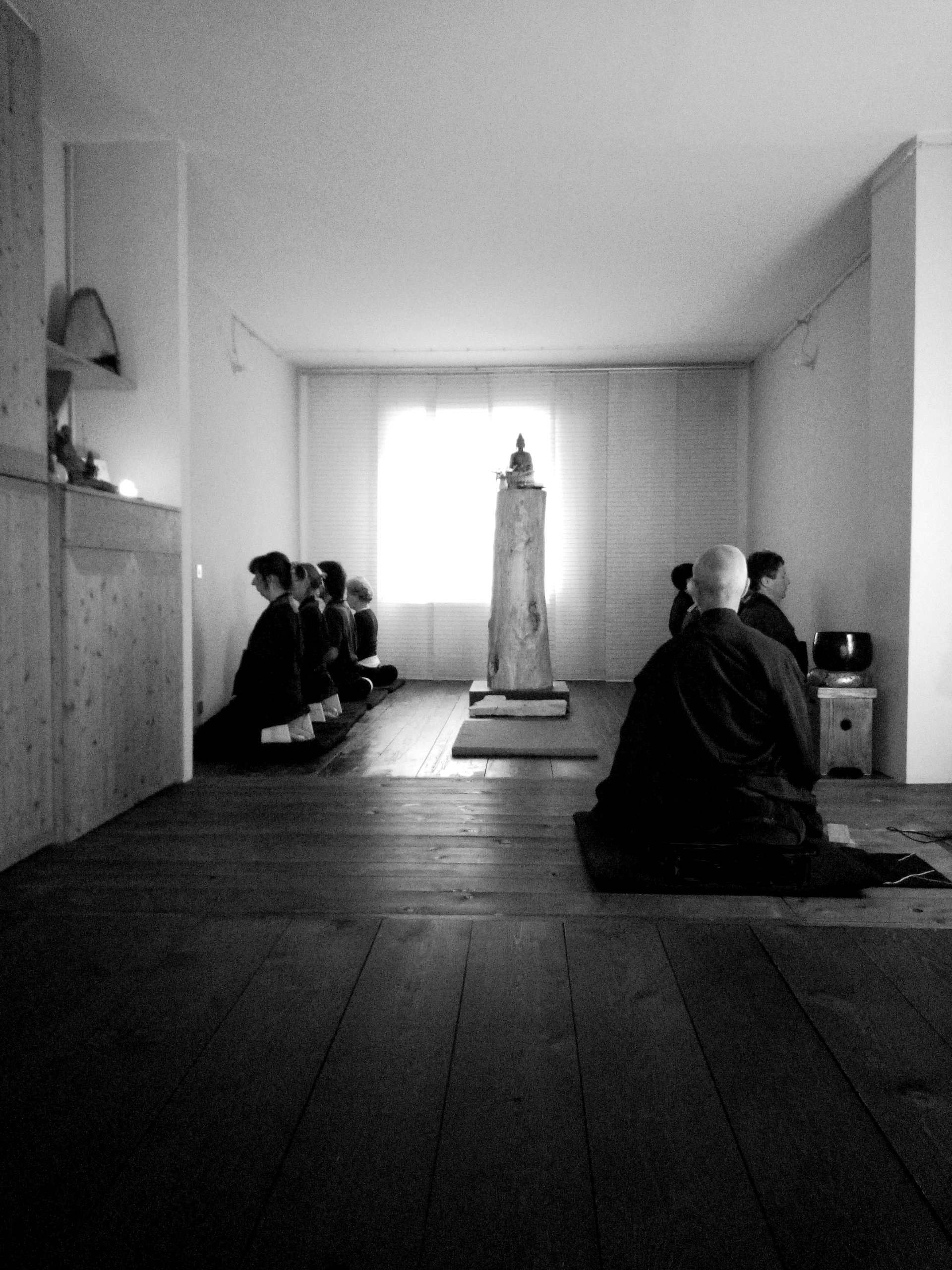 100% Arabica | Capsule per Nespresso – Filicori Zecchini Italia, image size:1920x2560