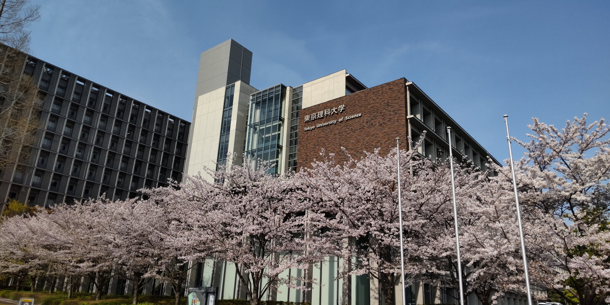 Home | TUS-yakugaku-noguchi-lab