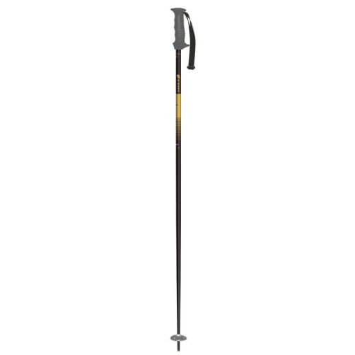 POLES - 取扱商品 | 群馬のスキーショップ スポーツコア